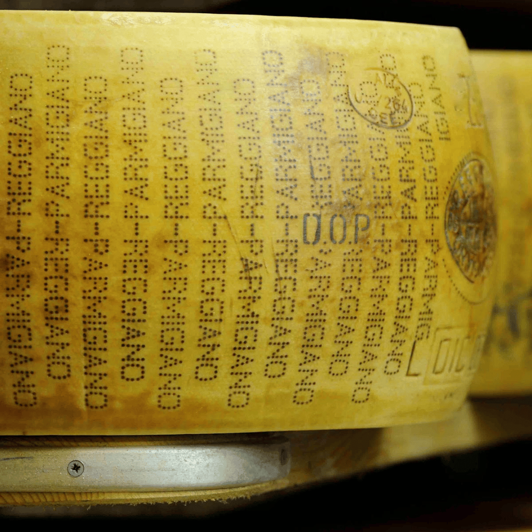 Modena Food Tour: Sightseeing & Taste - Food Tour - Touraround