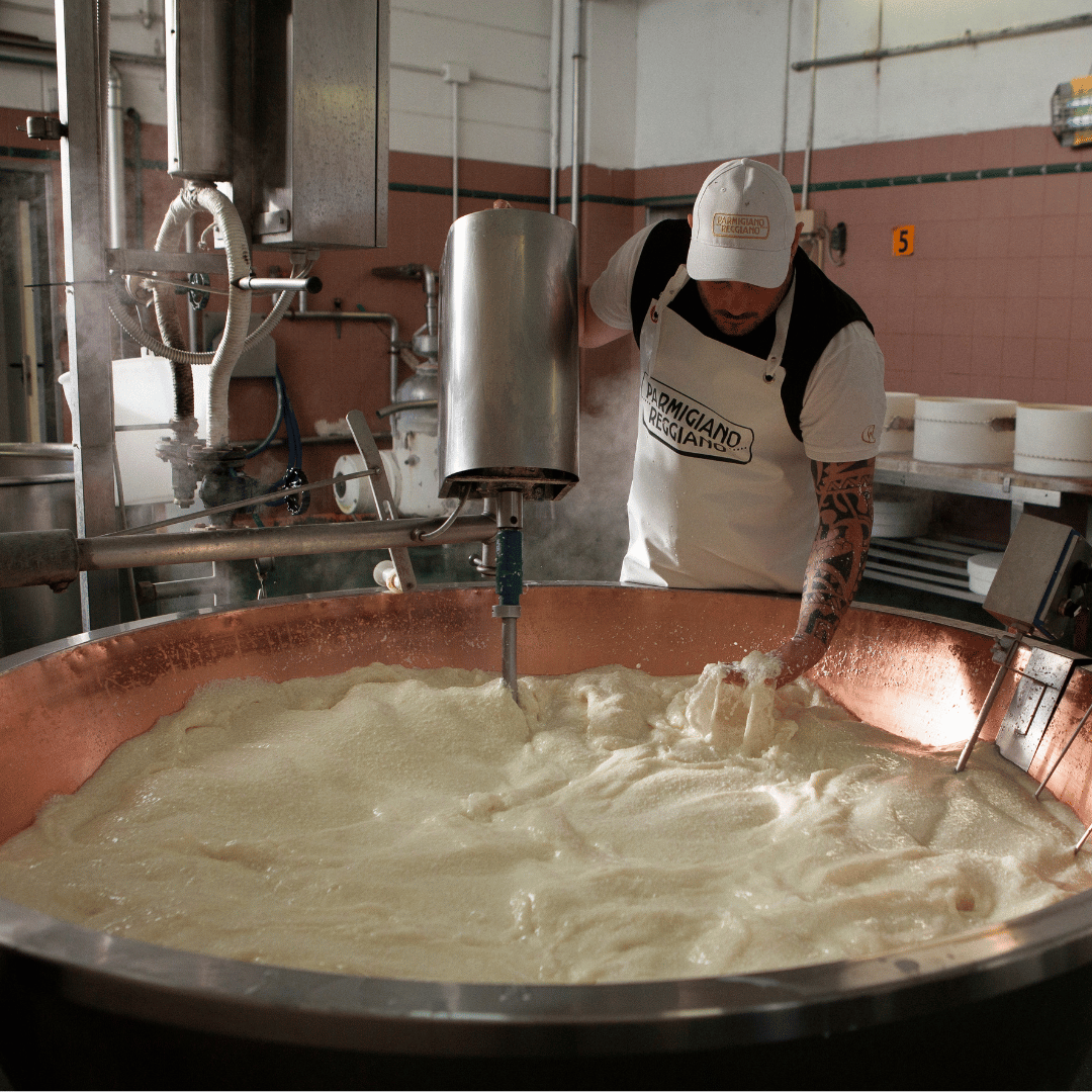 Modena: Parmesan Cheese Tour & Tasting - Parmesan Tour - Touraround