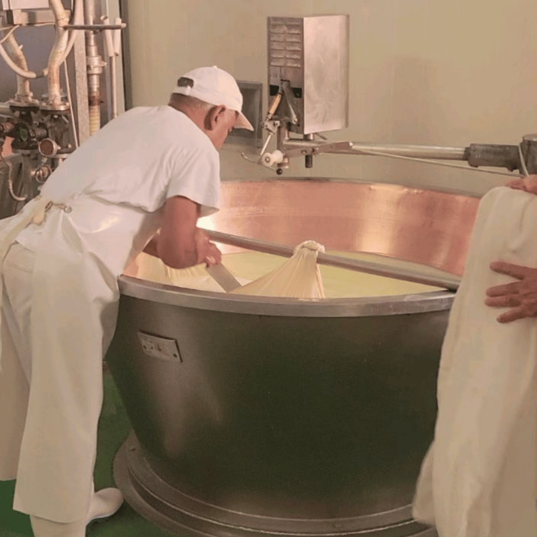 Modena: Parmesan Cheese Tour & Tasting - Parmesan Tour - Touraround