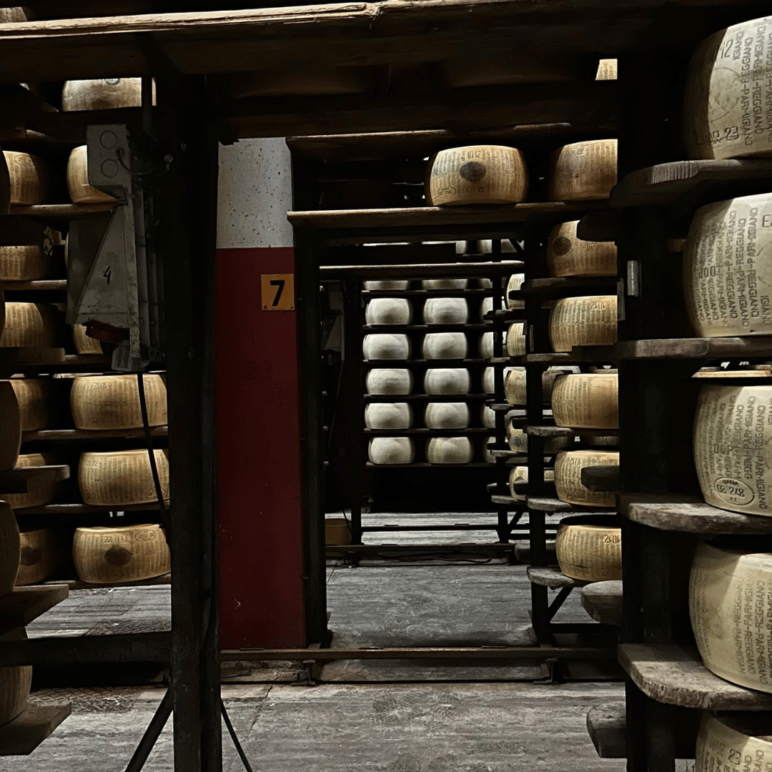 Modena: Parmesan Cheese Tour & Tasting - Parmesan Tour - Touraround
