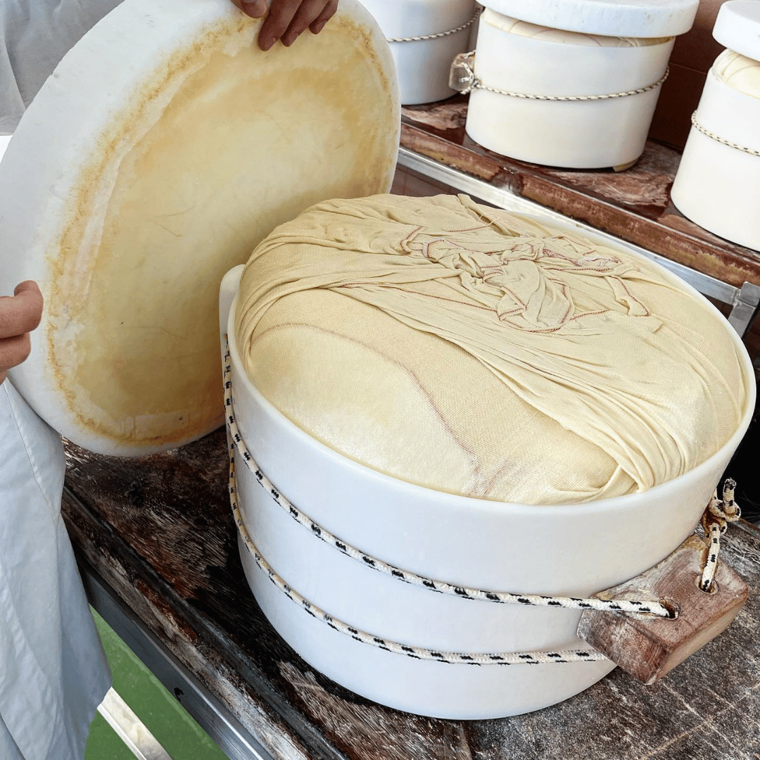 Modena: Parmesan Cheese Tour & Tasting - Parmesan Tour - Touraround