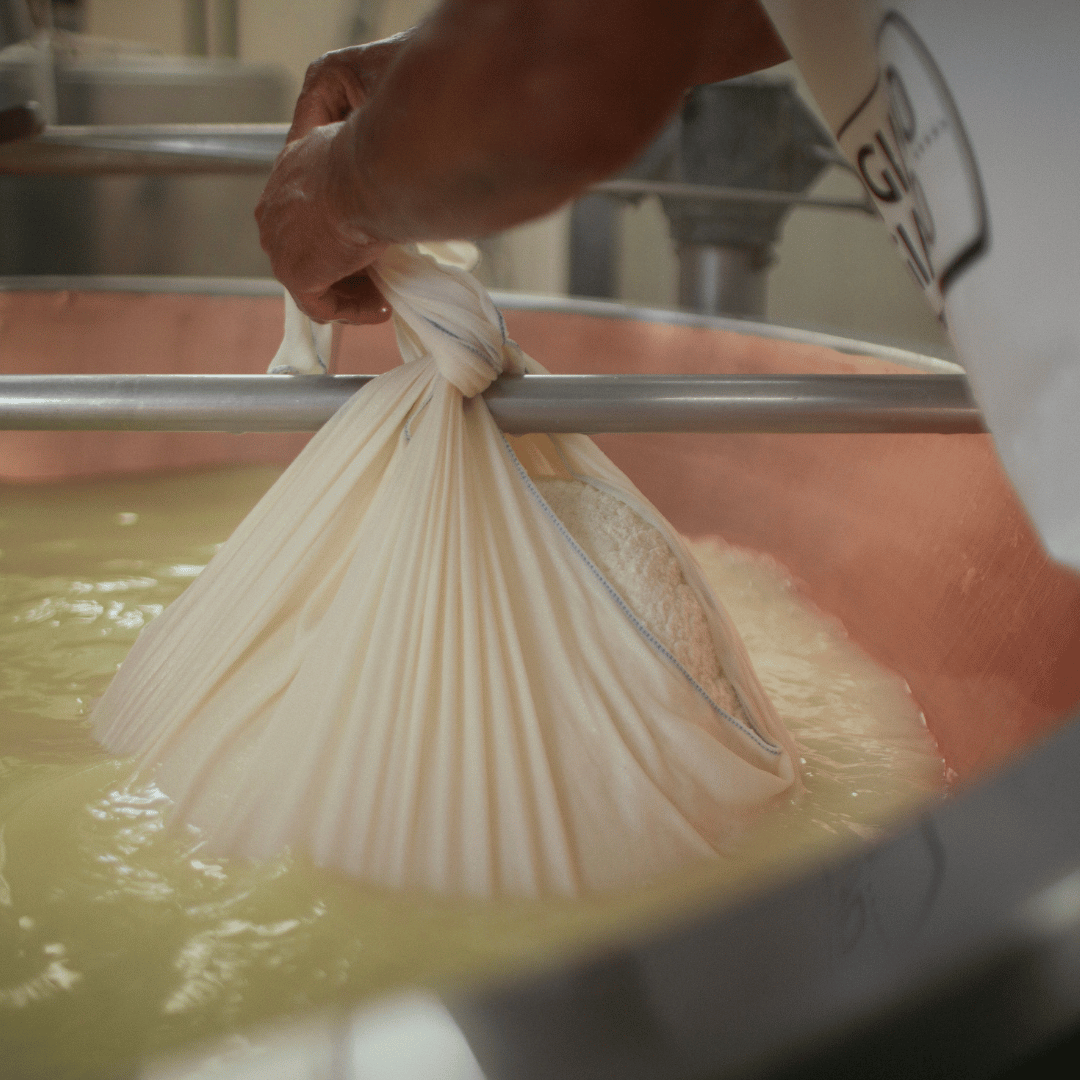 Modena: Parmesan Cheese Tour & Tasting - Parmesan Tour - Touraround