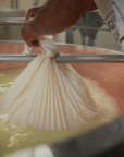 Modena: Parmesan Cheese Tour & Tasting - Parmesan Tour - Touraround