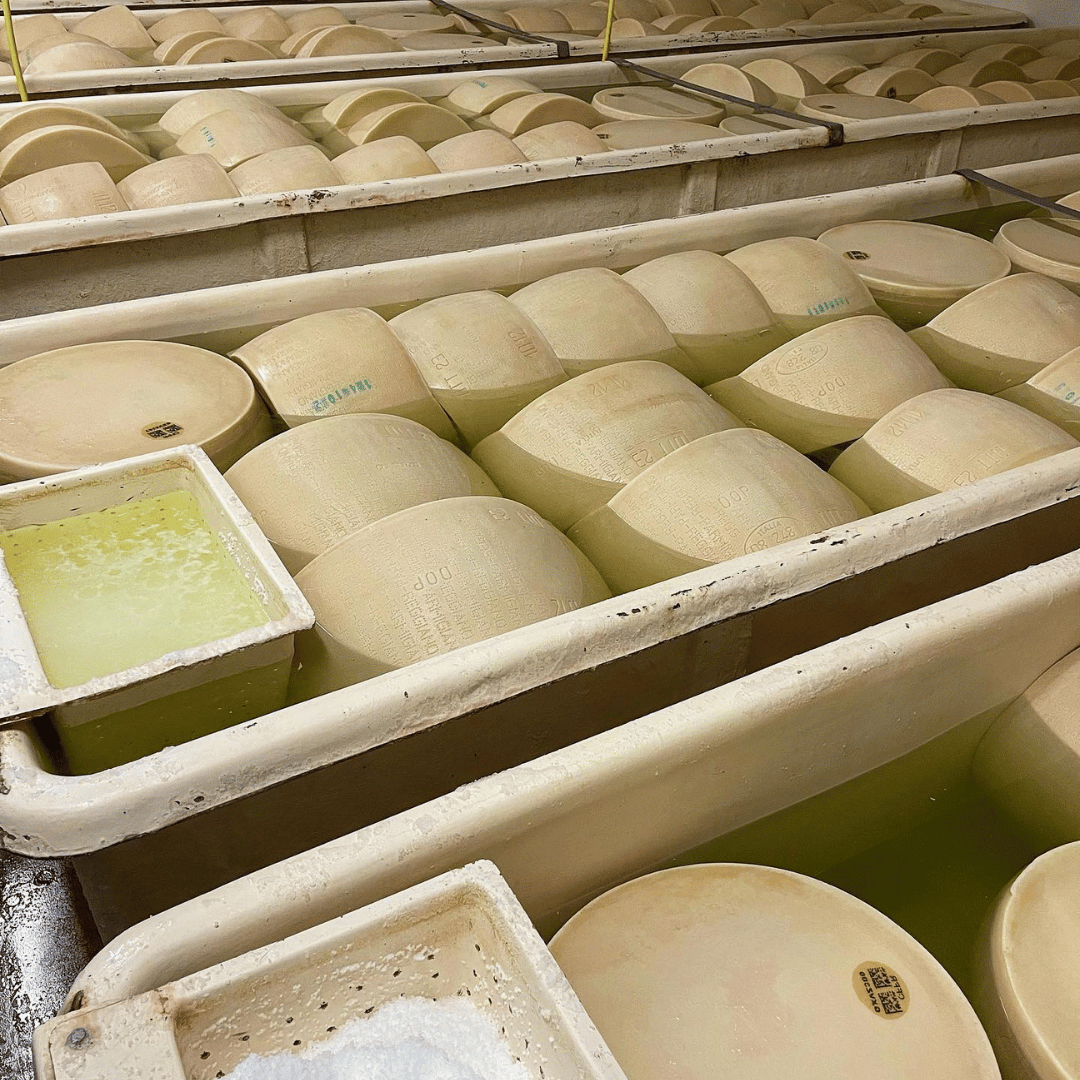Modena: Parmesan Cheese Tour & Tasting - Parmesan Tour - Touraround