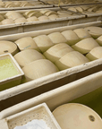 Modena: Parmesan Cheese Tour & Tasting - Parmesan Tour - Touraround