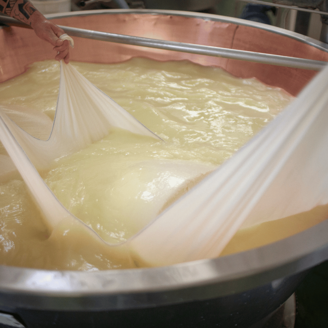 Modena: Parmesan Cheese Tour & Tasting - Parmesan Tour - Touraround