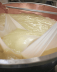 Modena: Parmesan Cheese Tour & Tasting - Parmesan Tour - Touraround