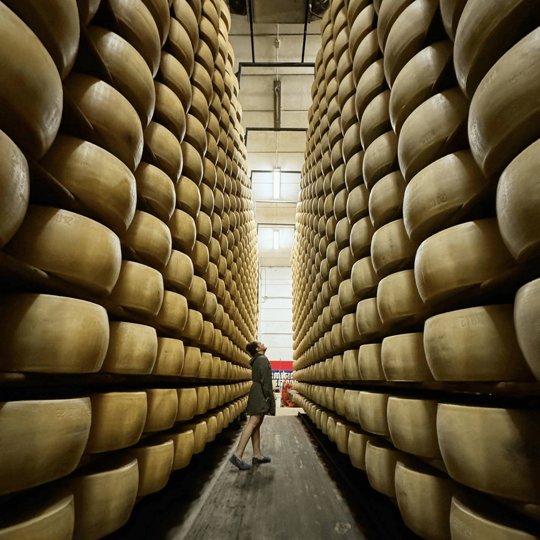 Modena: Parmesan Cheese Tour & Tasting - Parmesan Tour - Touraround
