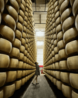 Modena: Parmesan Cheese Tour & Tasting - Parmesan Tour - Touraround