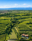 Lake Garda Olive Oil Tour & Tasting with Panoramic Views - Touraround
