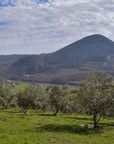 Olive Mill Tour and Tasting in the Padua Hills - Olive Oil Experience - Touraround
