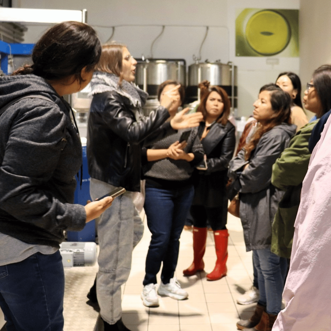 Olive Mill Tour and Tasting in the Verona Countryside - Olive Oil Experience - Touraround