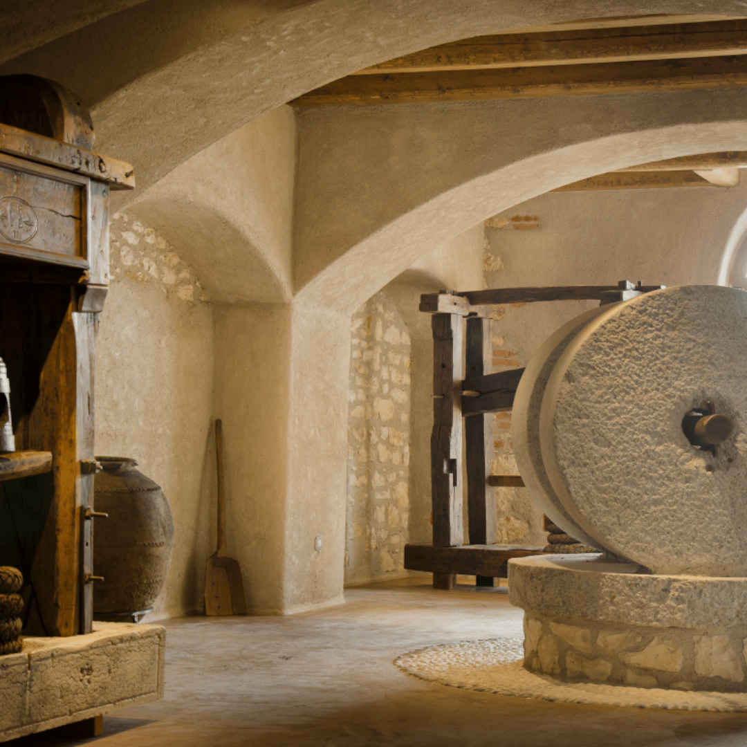 Olive Mill Tour and Tasting in the Verona Countryside - Olive Oil Experience - Touraround