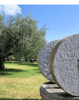 Olive Mill Tour and Tasting in the Verona Countryside - Olive Oil Experience - Touraround