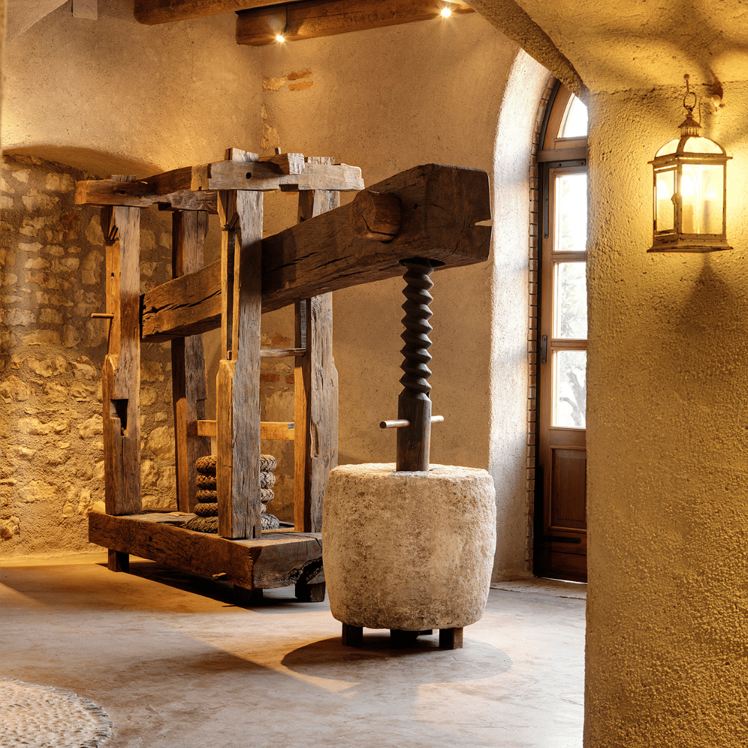 Olive Mill Tour and Tasting in the Verona Countryside - Olive Oil Experience - Touraround