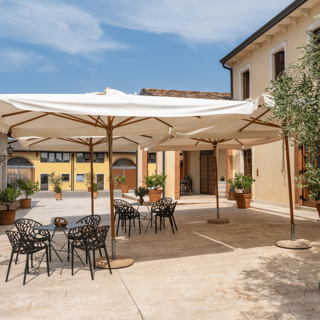 Olive Mill Tour and Tasting in the Verona Countryside - Olive Oil Experience - Touraround