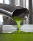 Olive Mill Tour and Tasting in the Verona Countryside - Olive Oil Experience - Touraround
