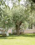 Olive Mill Tour and Tasting in the Verona Countryside - Olive Oil Experience - Touraround