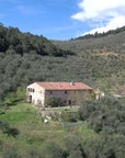 Olive Mill Tour with Oil and Food Tastings near Pisa - Olive Oil Experience - Touraround