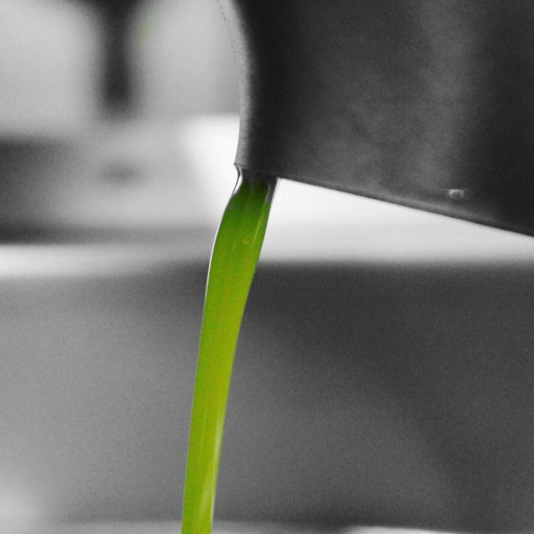 Olive Mill Tour with Oil and Food Tastings near Pisa - Olive Oil Experience - Touraround