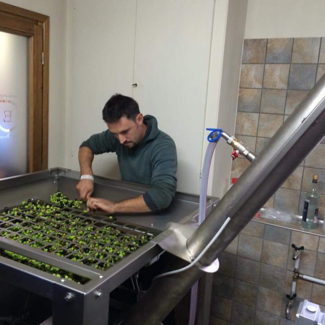 Olive Mill Tour with Oil and Food Tastings near Pisa - Olive Oil Experience - Touraround