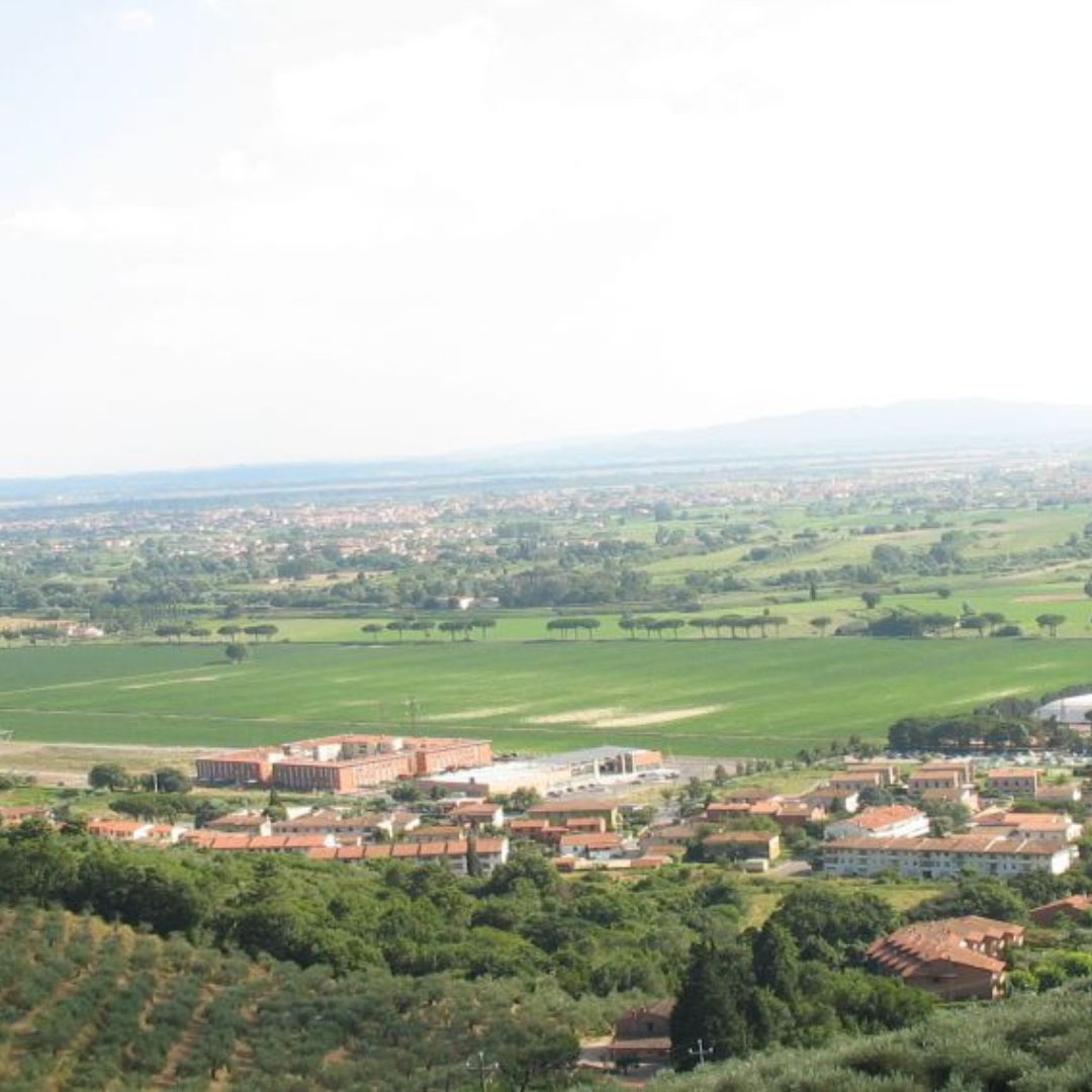 Olive Mill Tour with Oil and Food Tastings near Pisa - Olive Oil Experience - Touraround