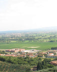 Olive Mill Tour with Oil and Food Tastings near Pisa - Olive Oil Experience - Touraround