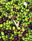 Olive Mill Tour with Oil & Food Tasting near Siena & Perugia - Olive Oil Experience - Touraround