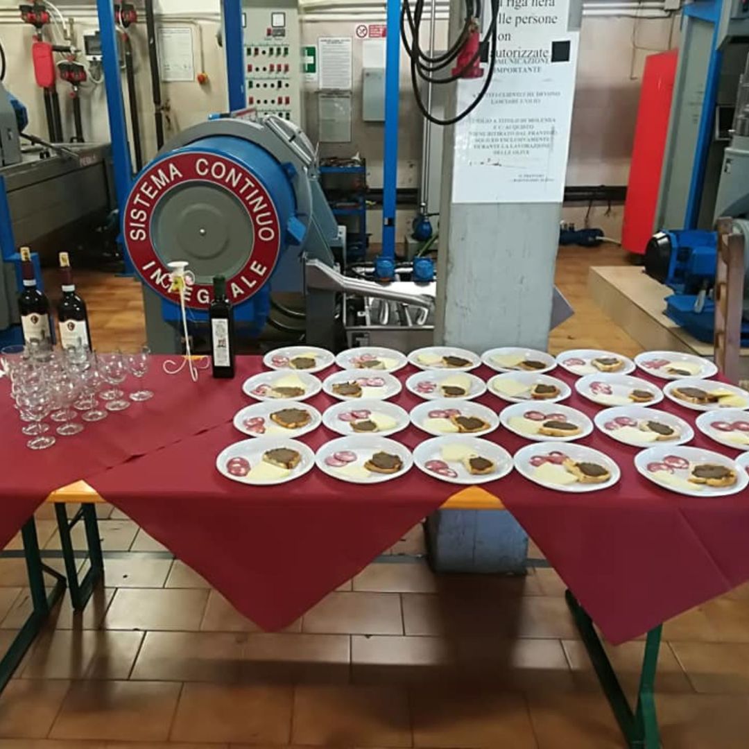 Olive Mill Tour with Oil & Food Tasting near Siena & Perugia - Olive Oil Experience - Touraround