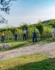 Olive oil tasting on the hills of Valpolicella - Olive Oil Tasting - Touraround