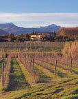 Organic and Biodynamic Winery Tour and Tasting in Lucca - Wine Tasting - Touraround