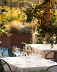 Organic and Biodynamic Winery Tour and Tasting in Lucca - Wine Tasting - Touraround