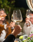Organic and Biodynamic Winery Tour and Tasting in Lucca - Wine Tasting - Touraround