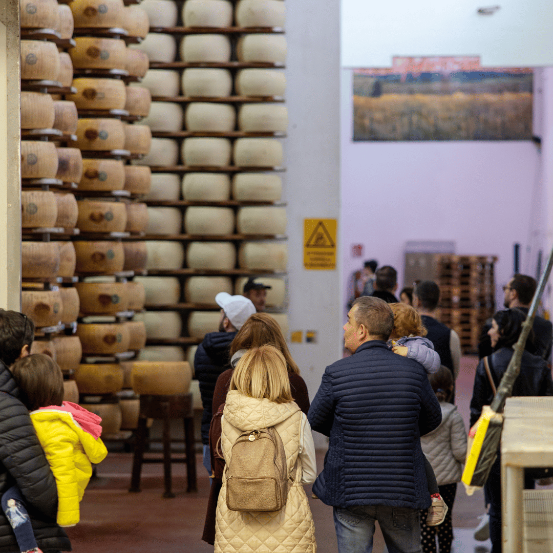 Parmesan Cheese Factory near Modena: Tasting & Tour - Parmesan Tour - Touraround