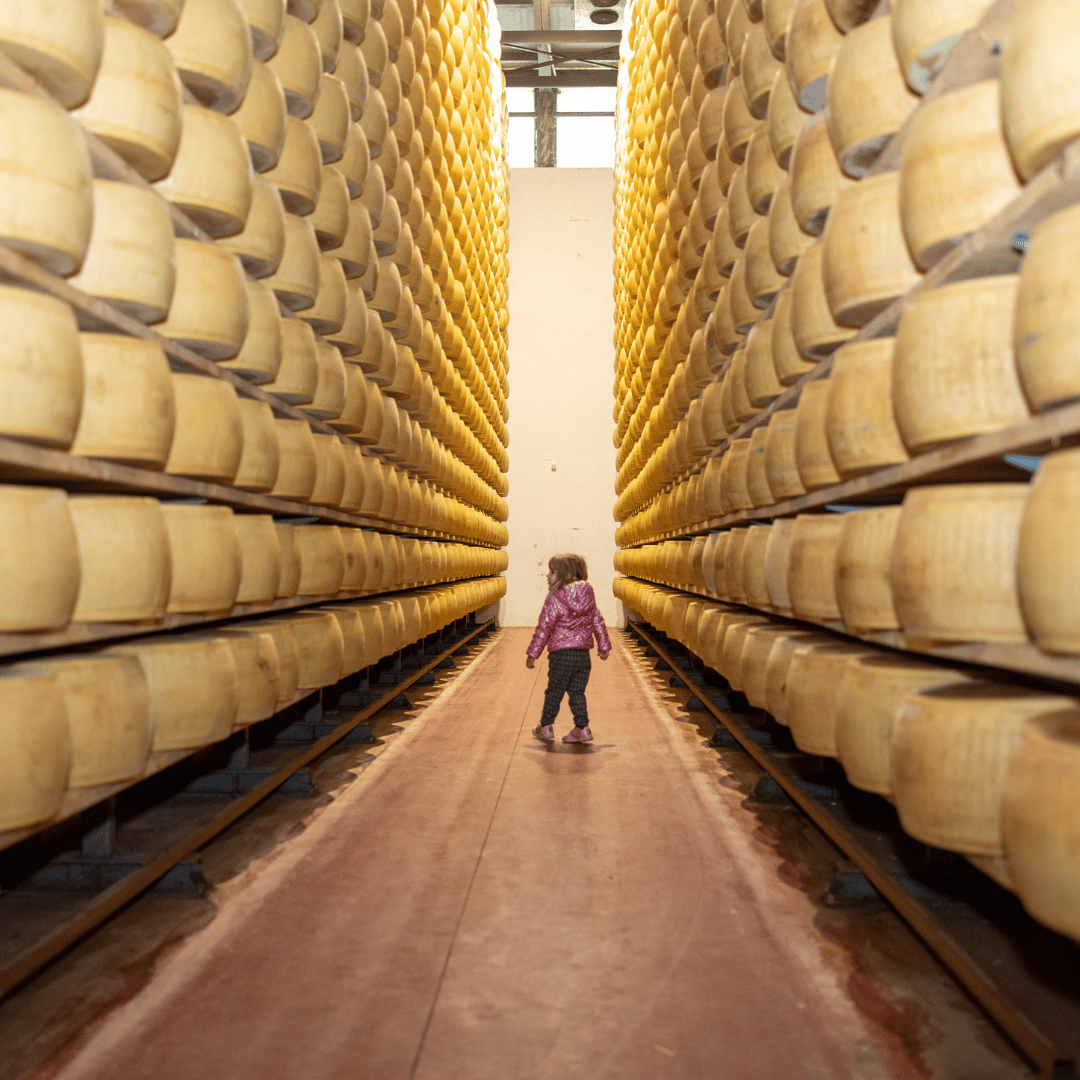 Parmesan Cheese Factory near Modena: Tasting & Tour - Parmesan Tour - Touraround