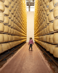 Parmesan Cheese Factory near Modena: Tasting & Tour - Parmesan Tour - Touraround