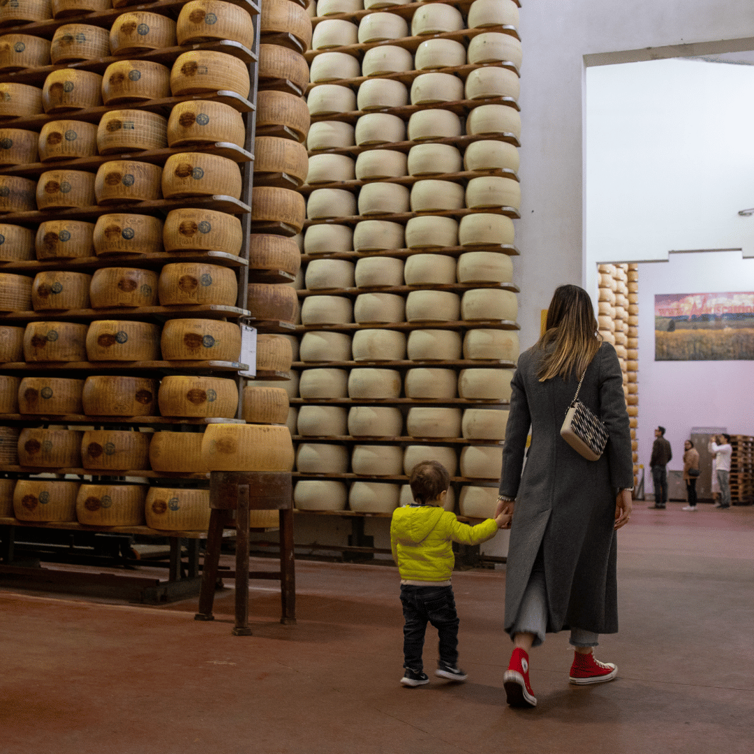 Parmesan Cheese Factory near Modena: Tasting & Tour - Parmesan Tour - Touraround