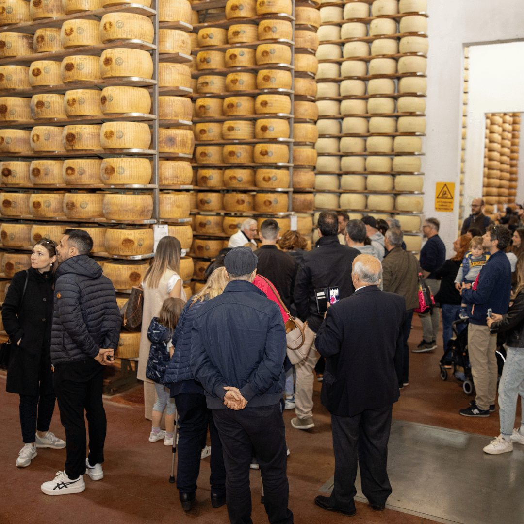 Parmesan Cheese Factory near Modena: Tasting & Tour - Parmesan Tour - Touraround