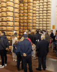 Parmesan Cheese Factory near Modena: Tasting & Tour - Parmesan Tour - Touraround