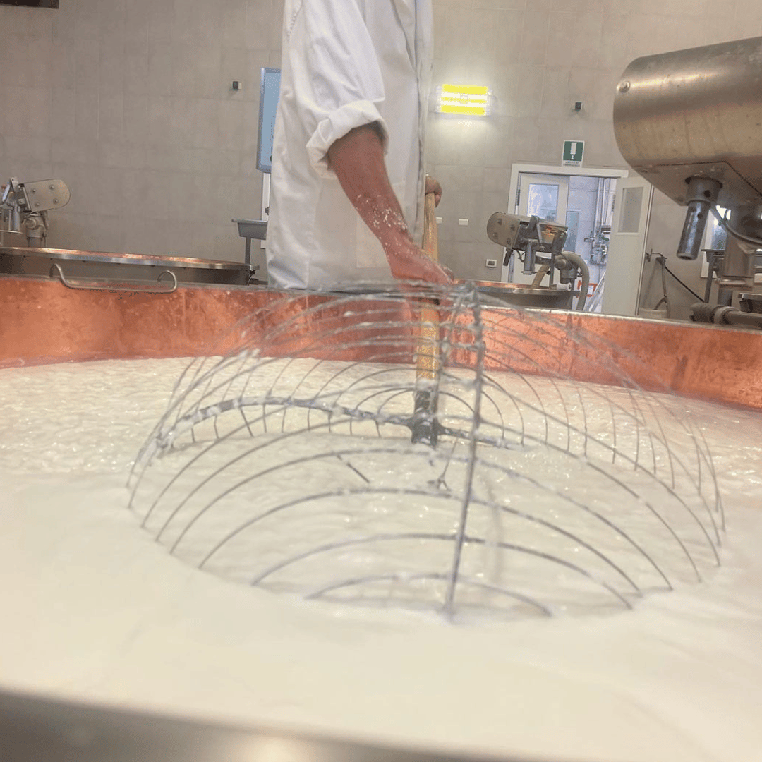 Parmesan Cheese Factory near Modena: Tasting & Tour - Parmesan Tour - Touraround