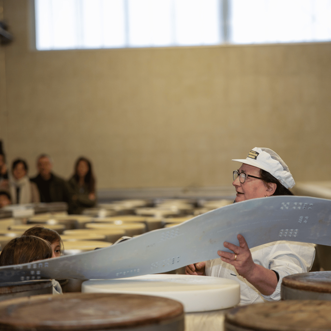 Parmesan Cheese Factory near Modena: Tasting & Tour - Parmesan Tour - Touraround