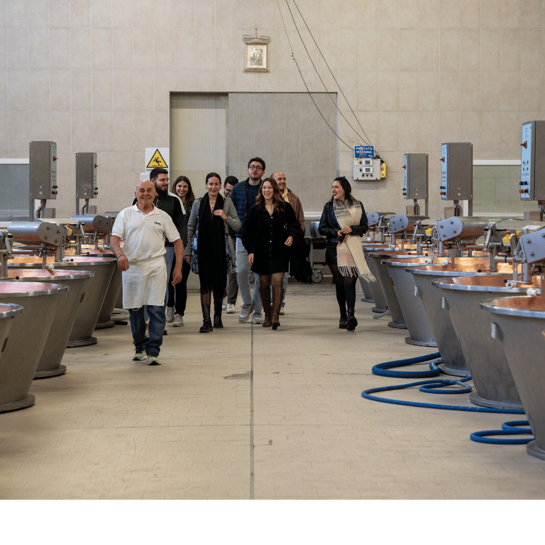 Parmesan Cheese Factory near Modena: Tasting & Tour - Parmesan Tour - Touraround