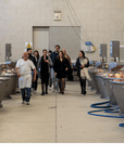 Parmesan Cheese Factory near Modena: Tasting & Tour - Parmesan Tour - Touraround