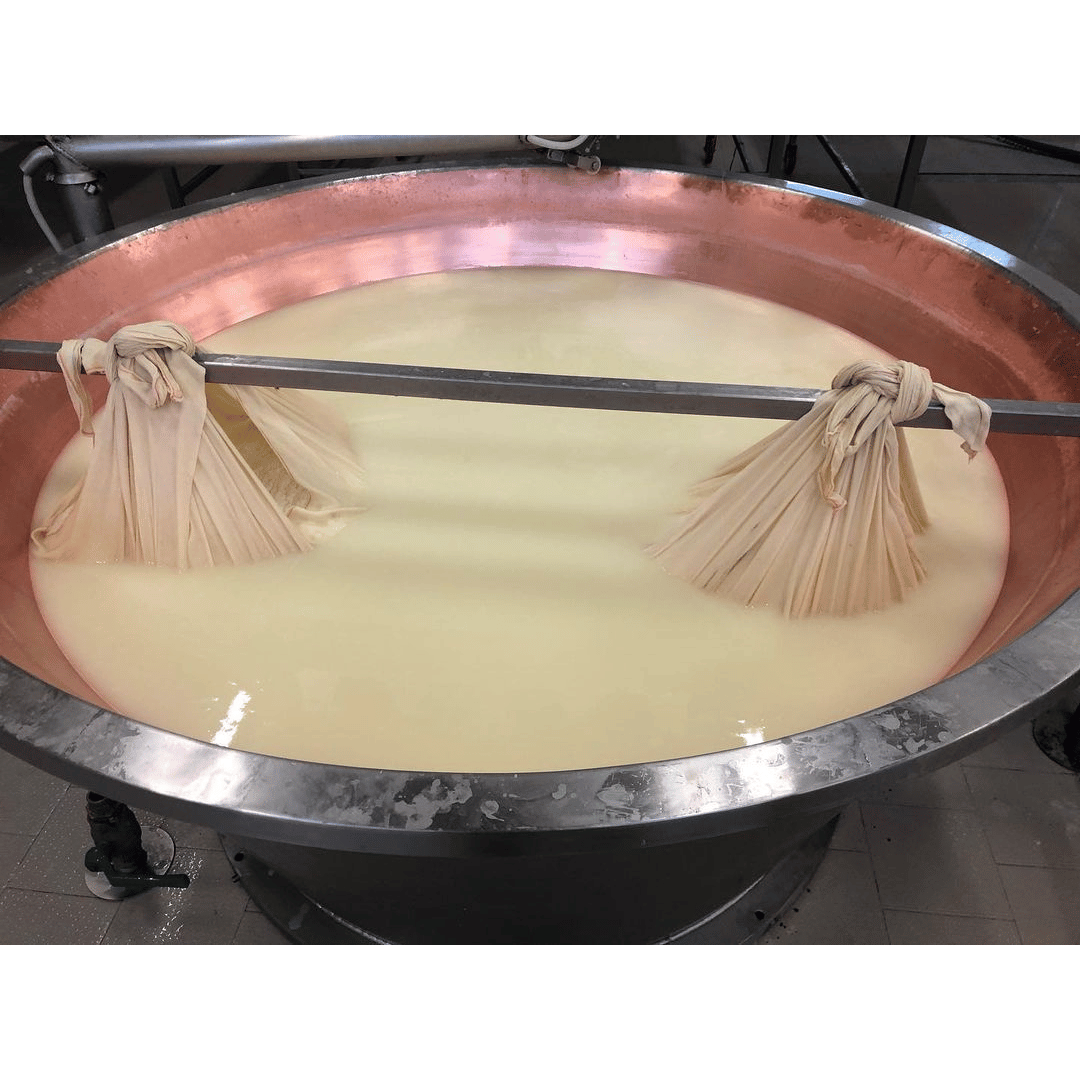 Parmesan Cheese Factory near Modena: Tasting & Tour - Parmesan Tour - Touraround