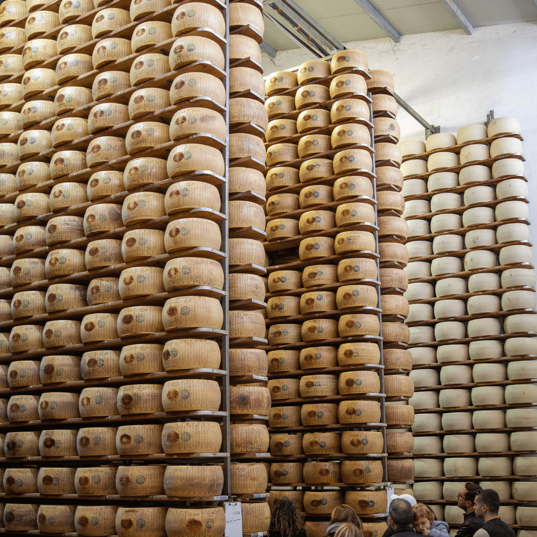 Parmesan Cheese Factory near Modena: Tasting & Tour - Parmesan Tour - Touraround