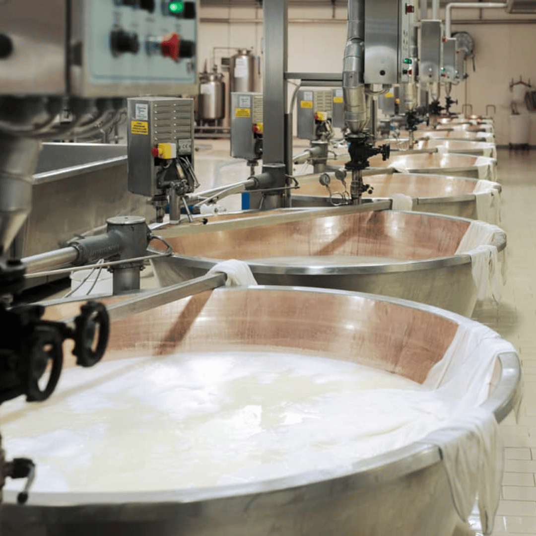 Parmesan Cheese Factory Tour & Tasting near Parma - Parmesan Tour - Touraround