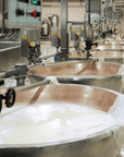 Parmesan Cheese Factory Tour & Tasting near Parma - Parmesan Tour - Touraround