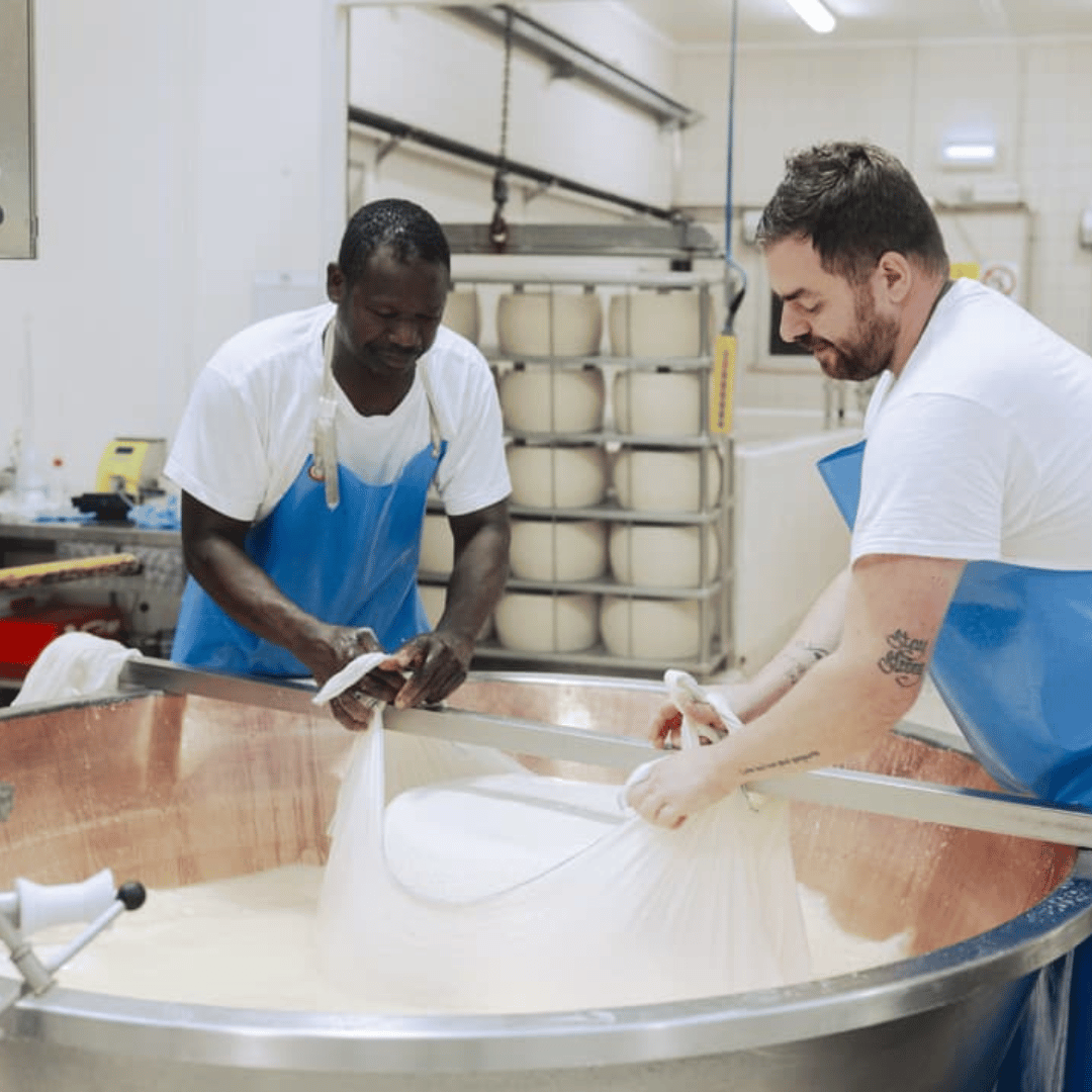 Parmesan Cheese Factory Tour & Tasting near Parma - Parmesan Tour - Touraround