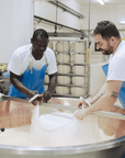 Parmesan Cheese Factory Tour & Tasting near Parma - Parmesan Tour - Touraround