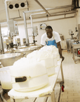 Parmesan Cheese Factory Tour & Tasting near Parma - Parmesan Tour - Touraround
